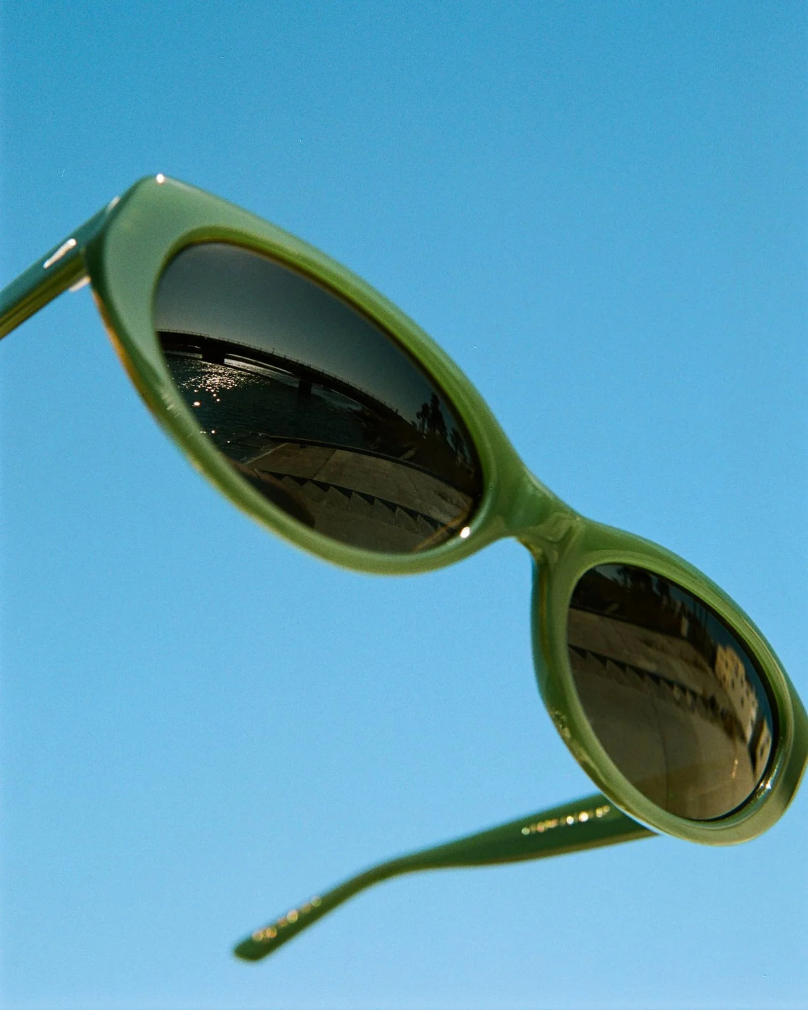 The Petal Bomb / Moss Bio & Polarised Desert Gradient Lens - Image 6