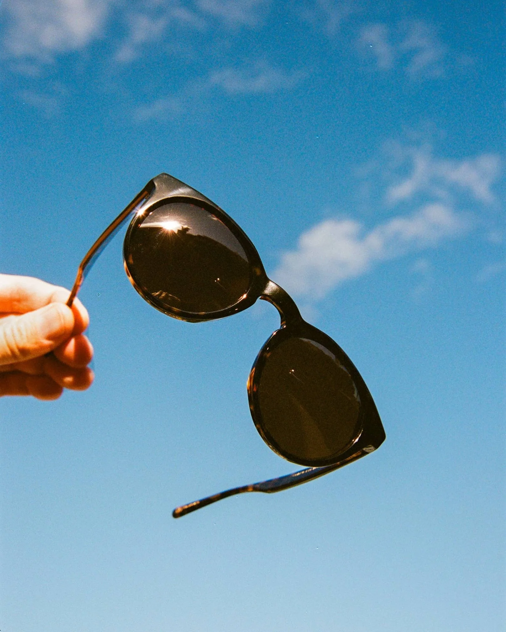 The Shake Appeal / Dark Tortoise Bio & Polarised Amber Lens - Image 3