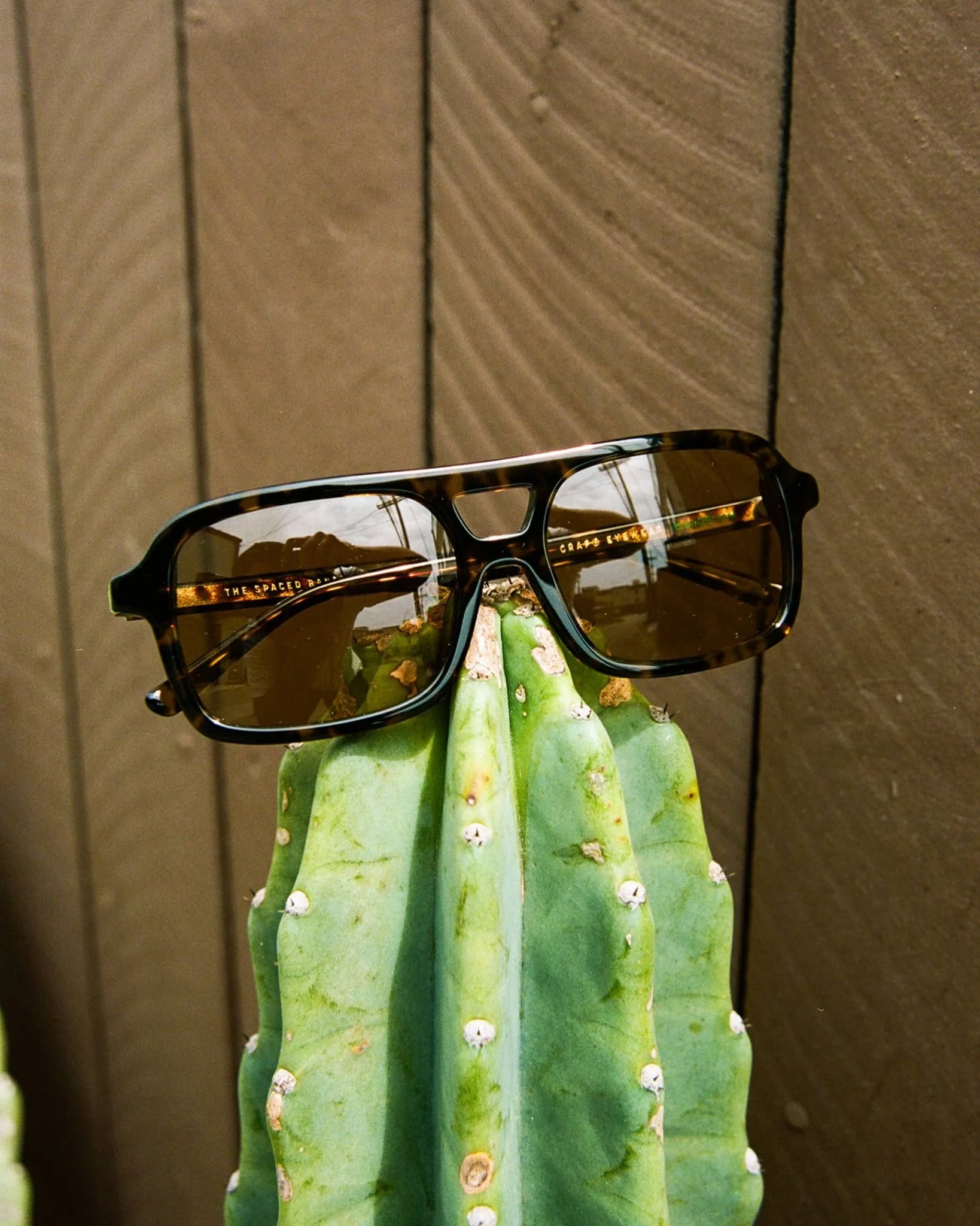 The Spaced Ranger / Dark Tortoise Bio & Shroom Lens - Image 5