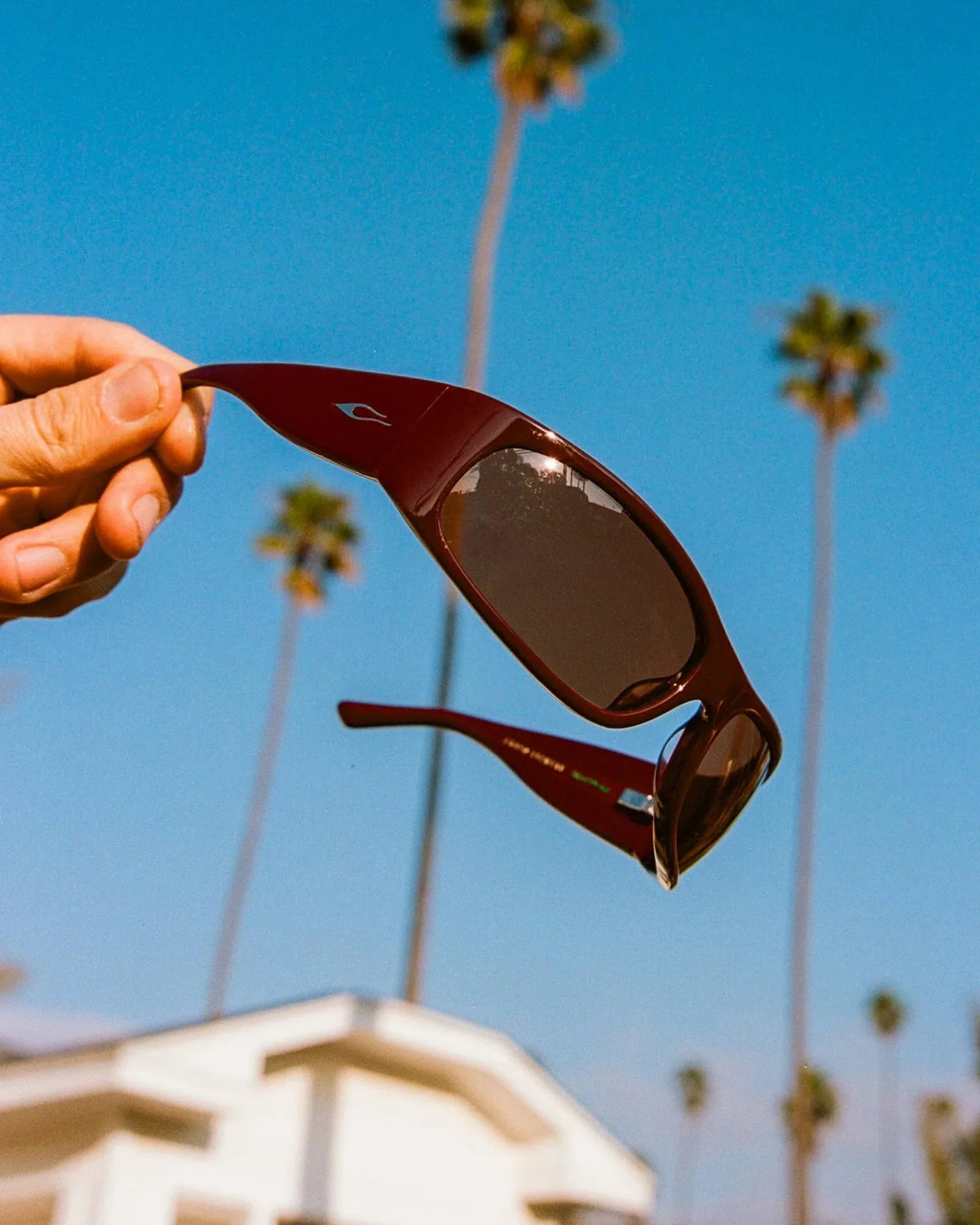 The Speed Charm / Mahogany Bio & Cinnamon Lens - Image 6