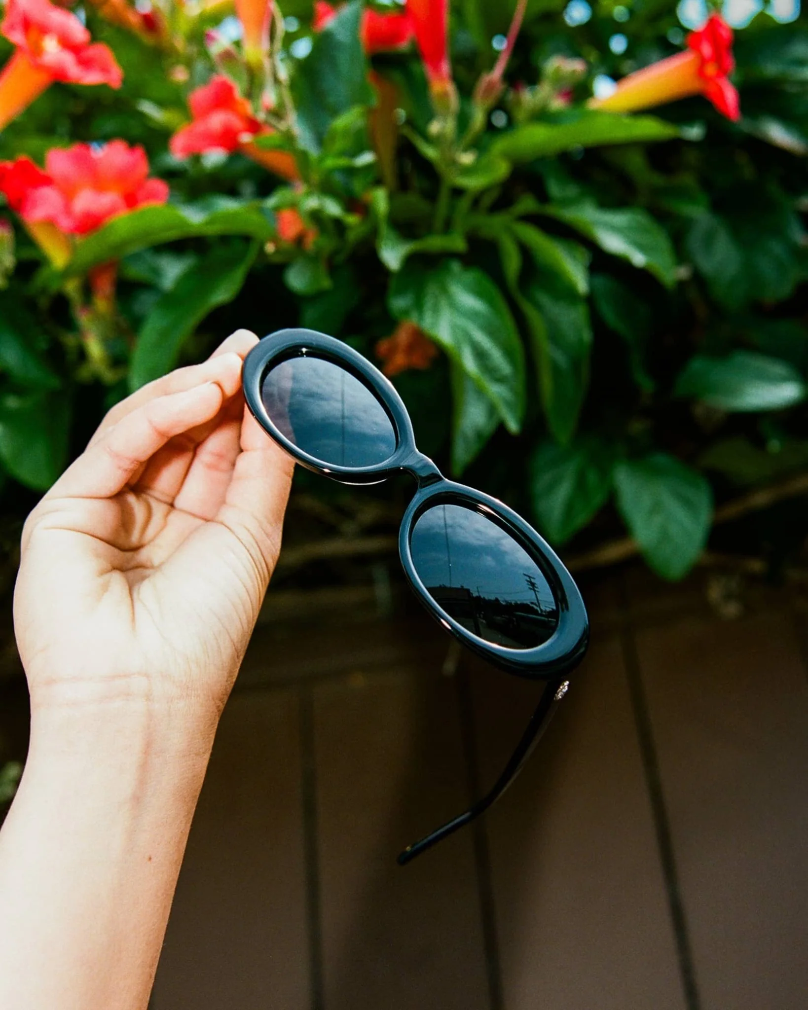 The Sweet Leaf / Black Bio & Polarised Grey Lens - Image 5