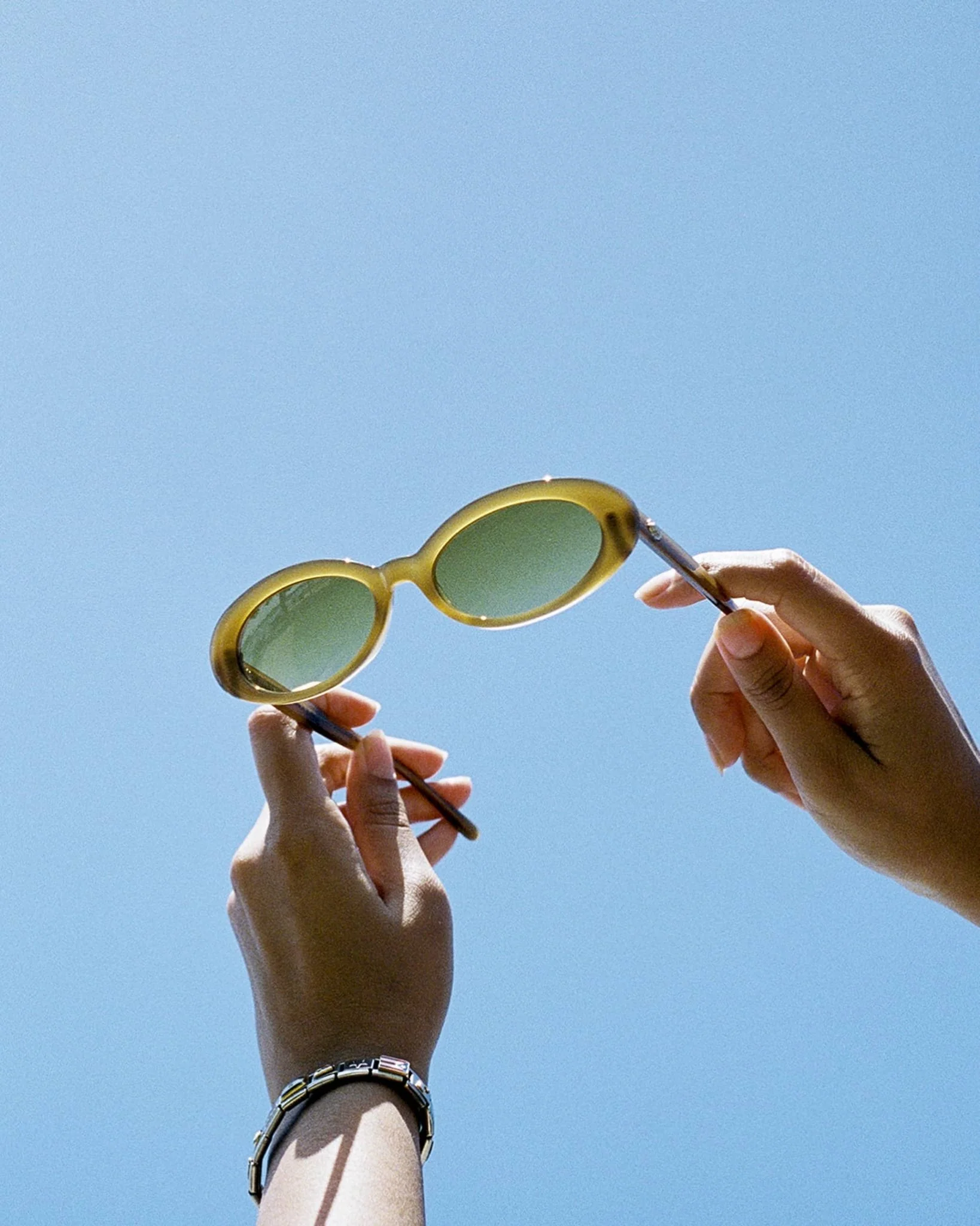The Sweet Leaf / Mustard Seed Bio & Kelp Gradient Lens - Image 6