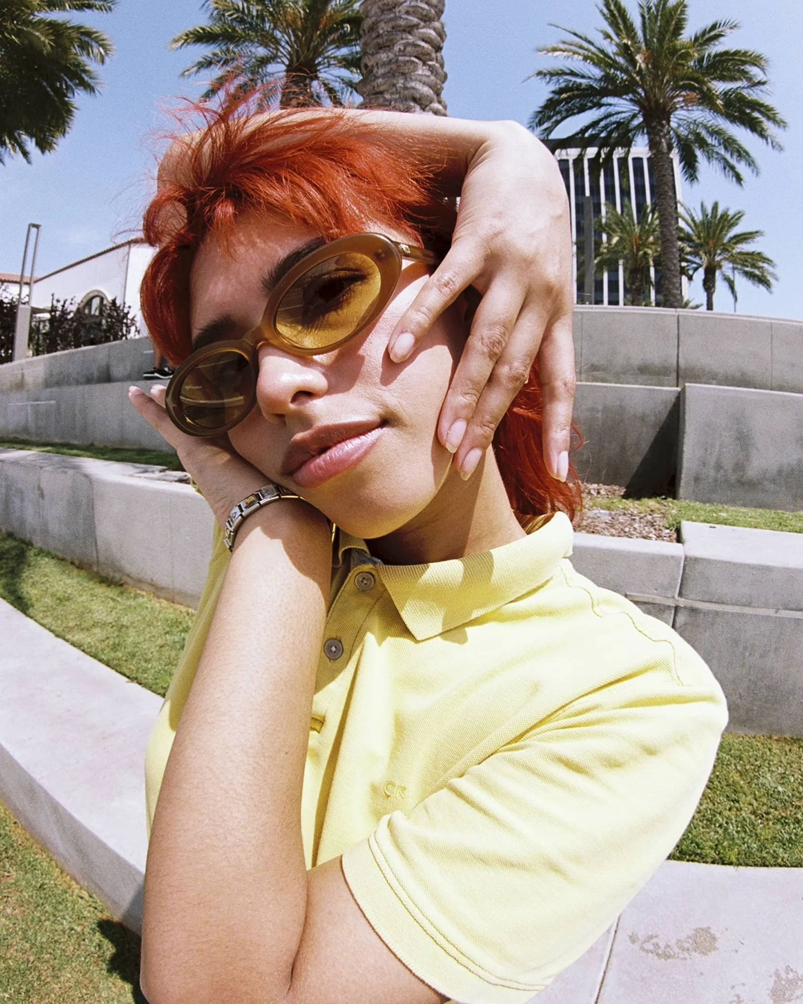 The Sweet Leaf / Mustard Seed Bio & Kelp Gradient Lens - Image 7
