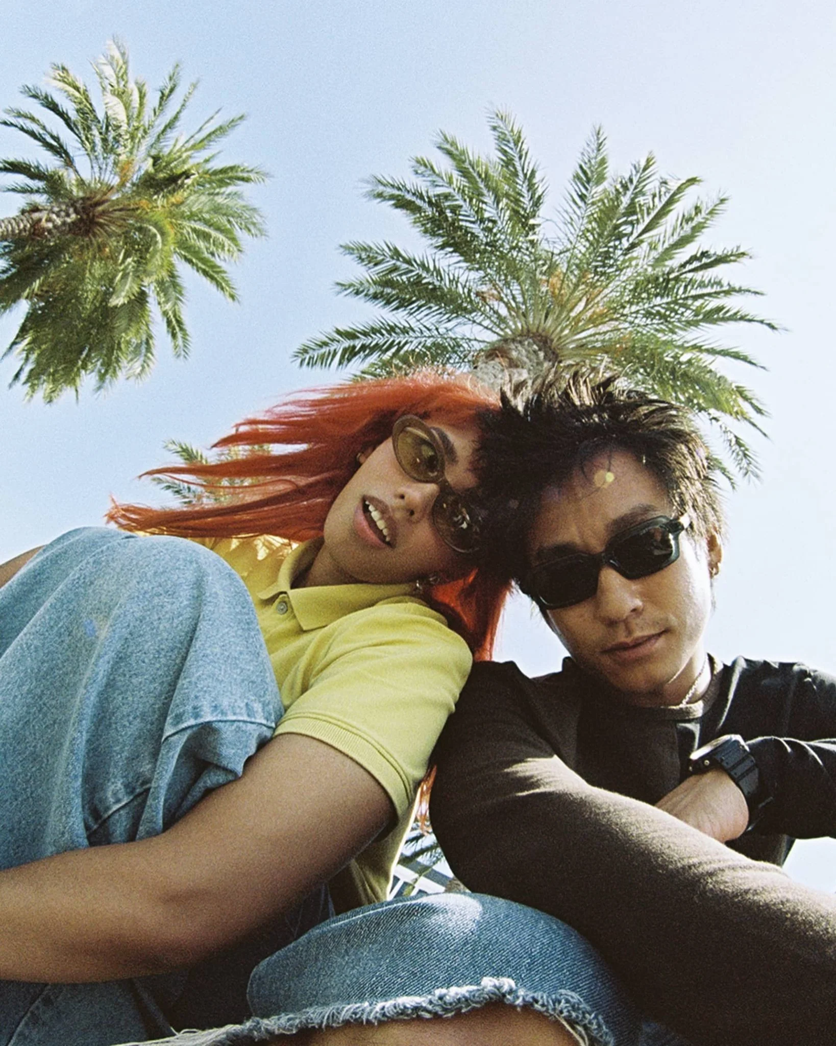 The Sweet Leaf / Mustard Seed Bio & Kelp Gradient Lens - Image 8