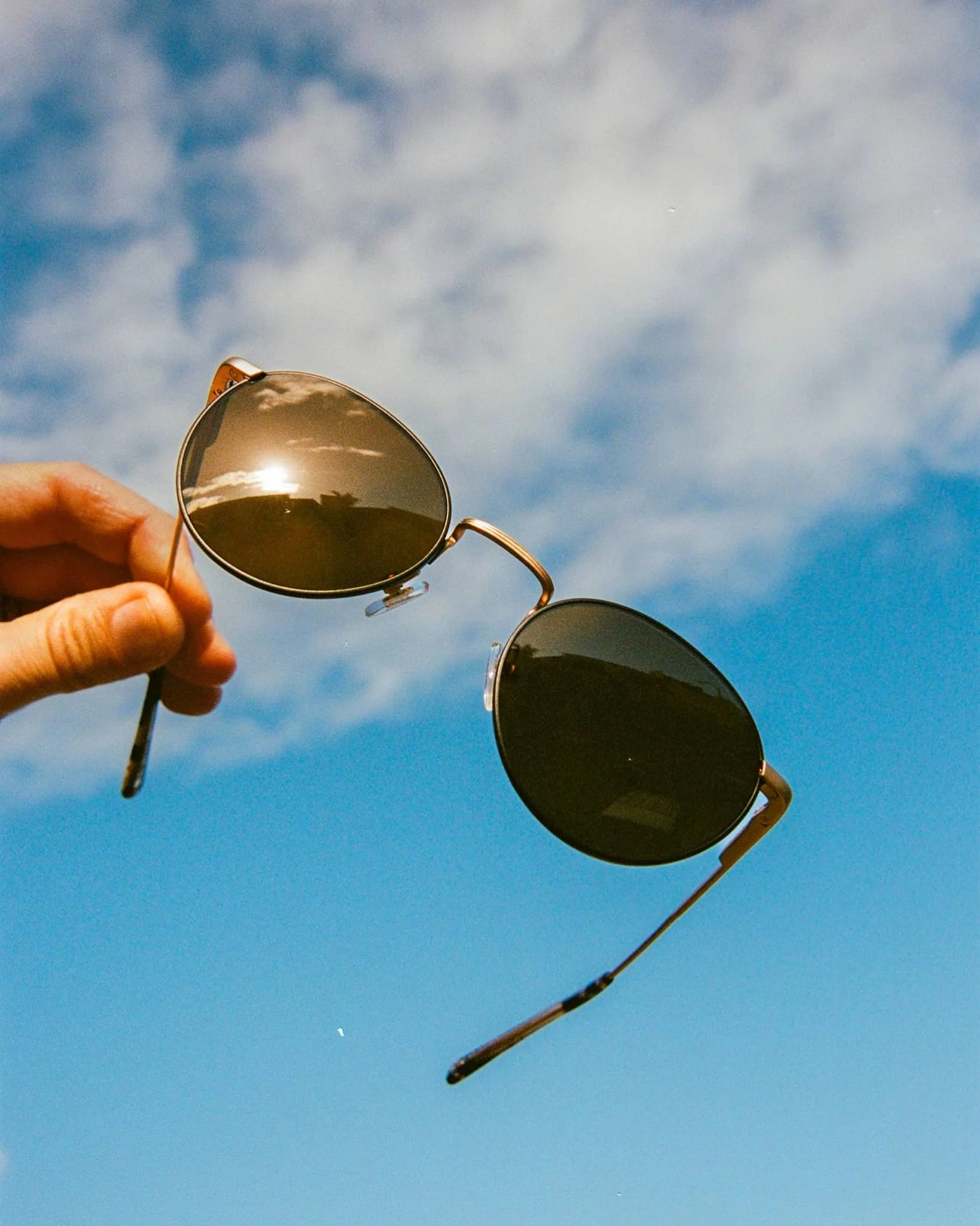 The Tuff Patrol / Matte Gold Black Rims Desert Tortoise Bio & Polarised Bronze Lens - Image 4