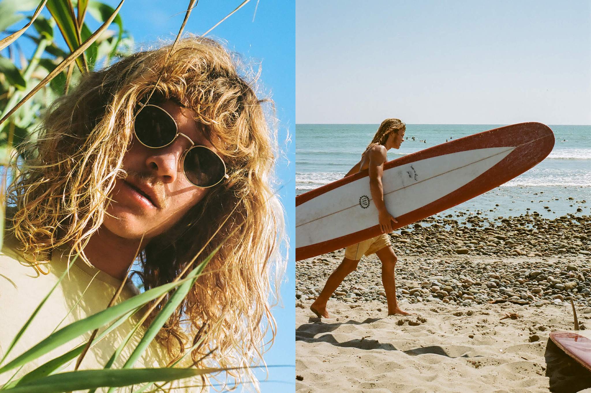 The Zen Patrol / Brushed Gold Tortoise Bio & Polarised Grey Lens - Image 5