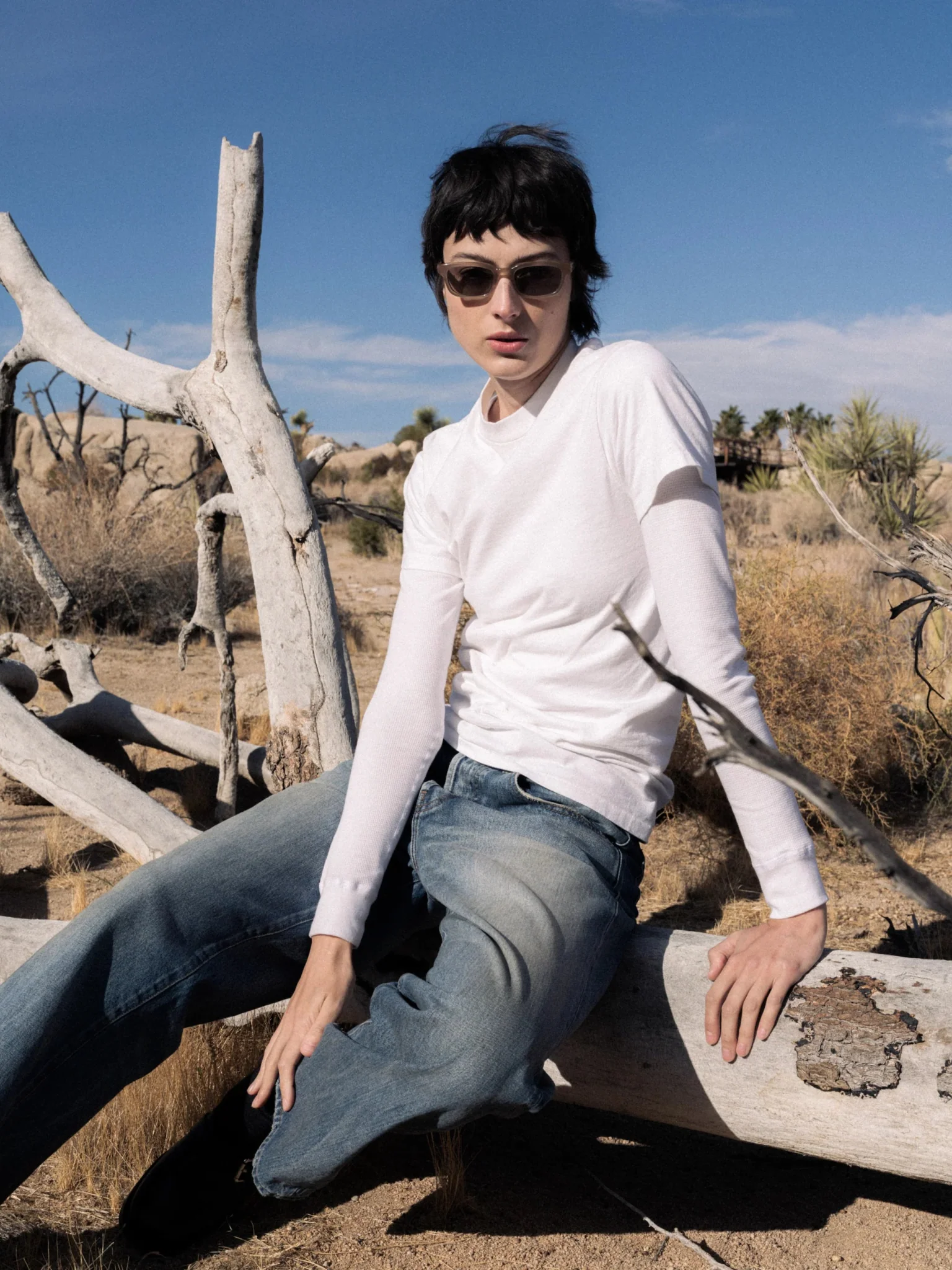 Trivia / Beige Acetate & Grey Lens - Image 4