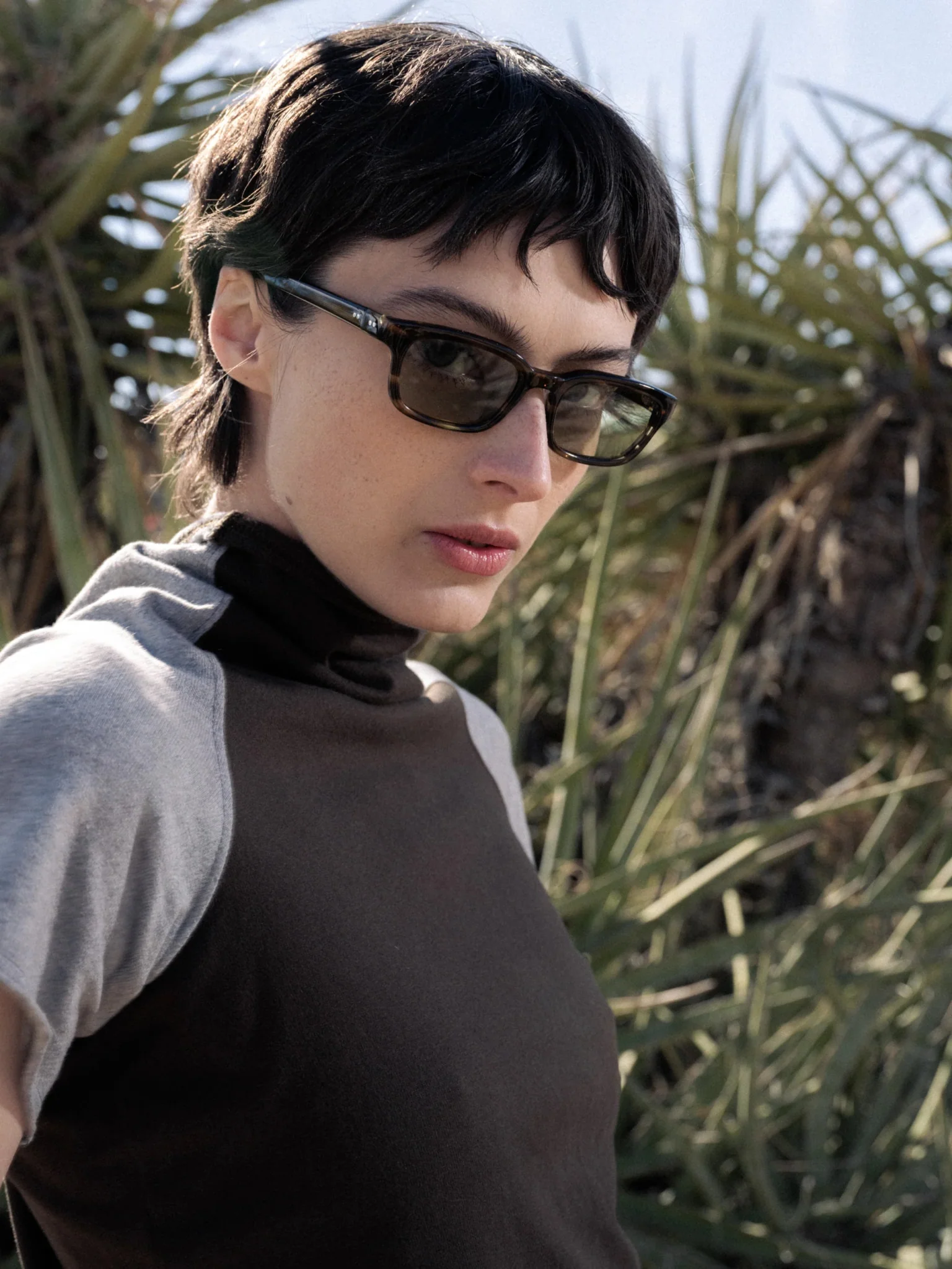 Trivia / Olive Havana Acetate & Green Lens - Image 3