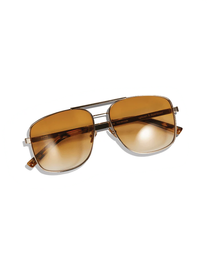 Uptown & Downtown / Gold Tortoise & Gold Terracotta Lens - Image 3