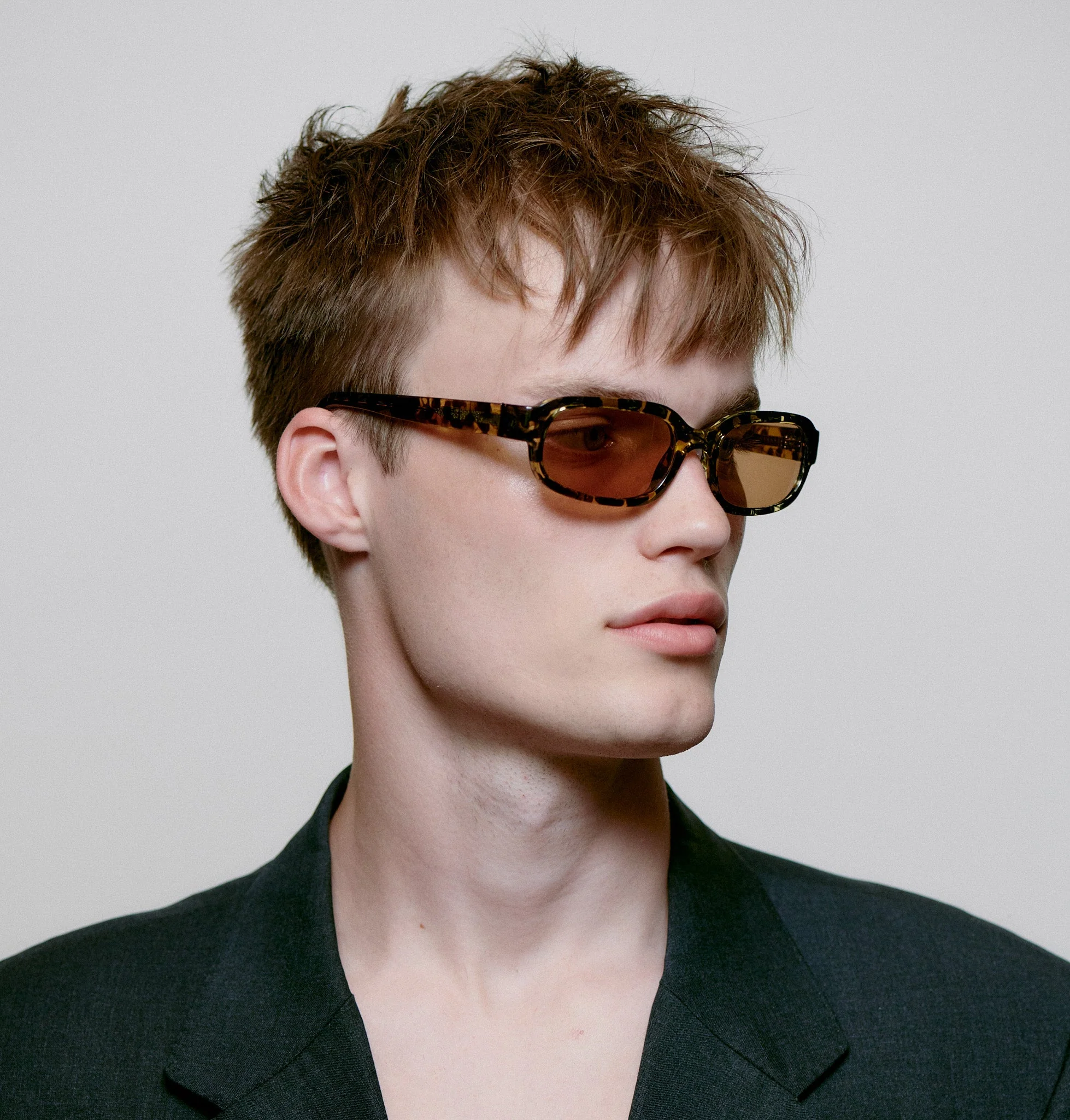 Will / Black Yellow Tortoise & Brown Lens - Image 6