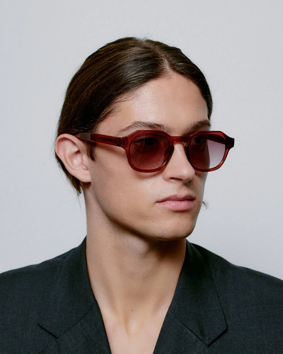 Zan / Brown Transparent & Grey Gradient Lens - Image 4