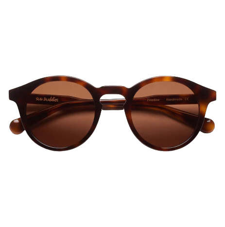 Zinedine / Tortoise